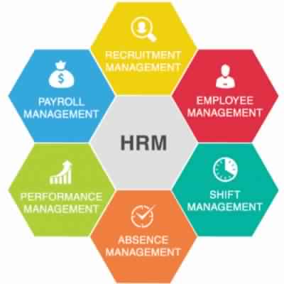 Colors HR management website preview image